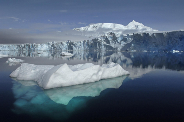 Antarctic fish species adapting to warming waters