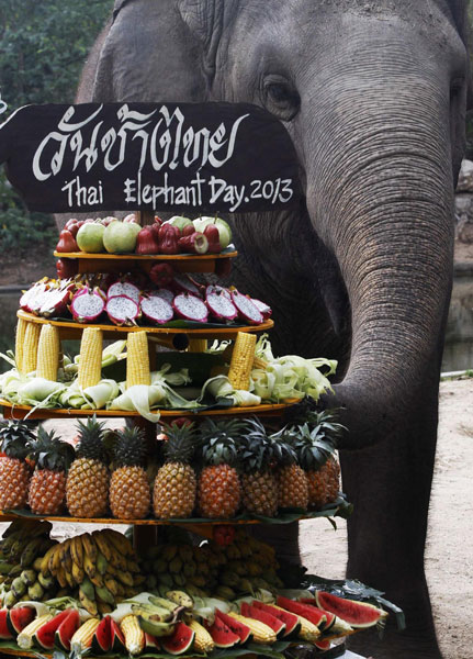 Thailand's National Elephant Day