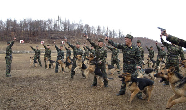 DPRK soldiers take part in drills
