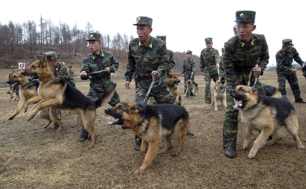 DPRK soldiers take part in drills