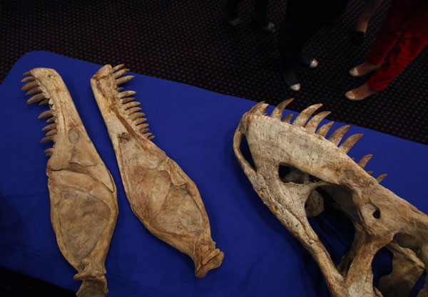US returning dinosaur skeleton to Mongolia