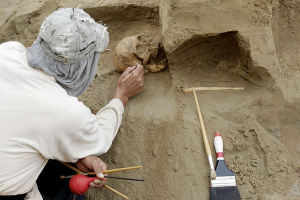 Ancient Peruvian tomb excavated