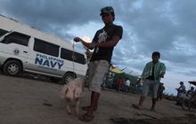 <I>Peace Ark</I> answers call in typhoon-hit Philippines