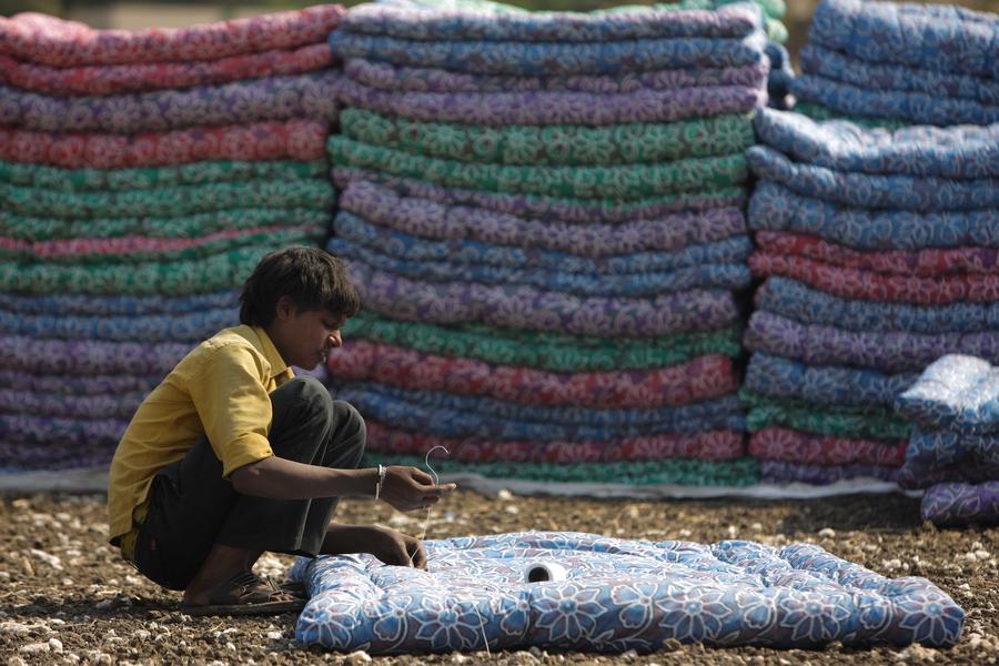 Cotton harvest in India