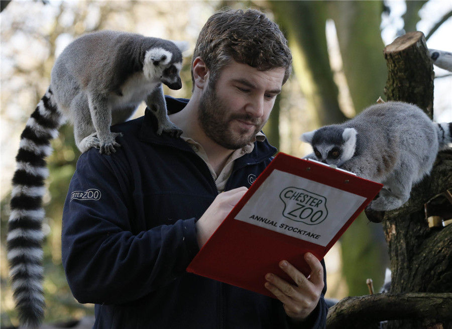 Animal stocktake at UK zoos