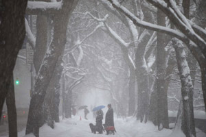 Powerful storm lashes eastern US with snow, arctic cold