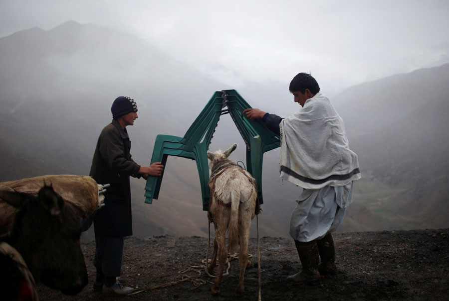 Ballot boxes on donkeys in Afghanistan