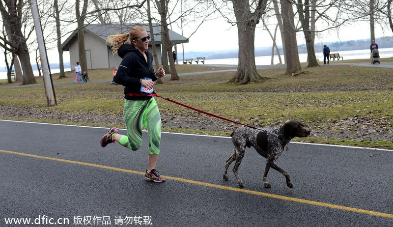 Runners and their 4-legged friends race in New York