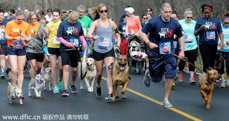 Runners and their 4-legged friends race in New York