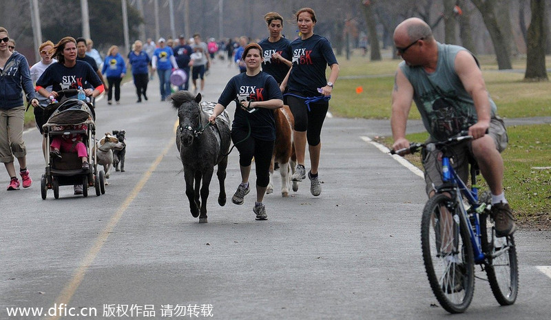 Runners and their 4-legged friends race in New York