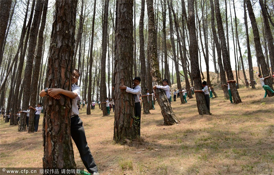 Nepalese students hug trees in world record bid