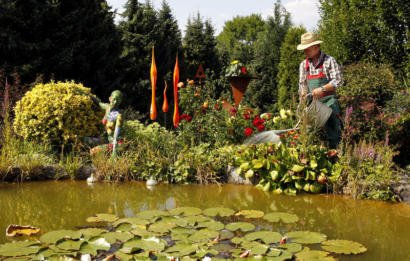 When a gardener meets a floral fairy