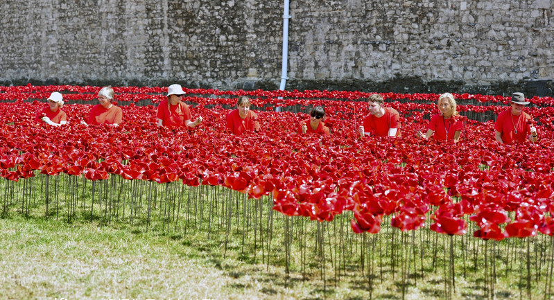 Ceramic poppies take shape at London Tower to mark WWI