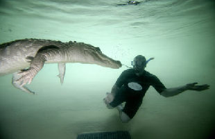 Residents caught giant alligator in Alabama