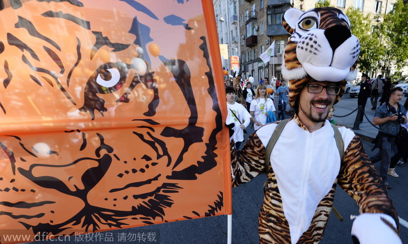 Russia celebrates Tiger Day