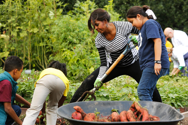 White House also produces harvest joy