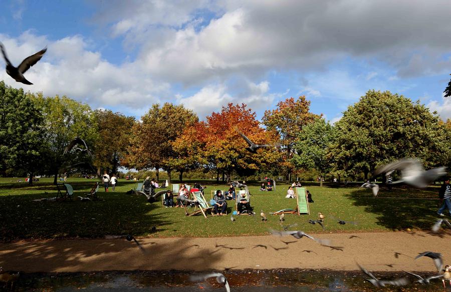 Glance of Central London after autumn rains