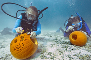 Annual pumpkin exhibition held in Germany