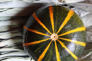 Annual pumpkin exhibition held in Germany