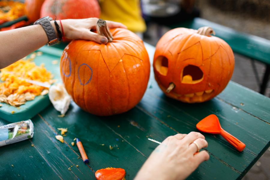 Annual pumpkin exhibition held in Germany