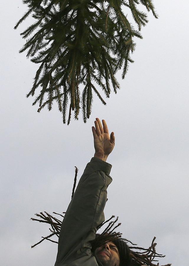 Christmas Tree Throwing Championships held in UK