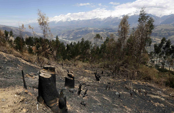 2014 likely to be record warmest year