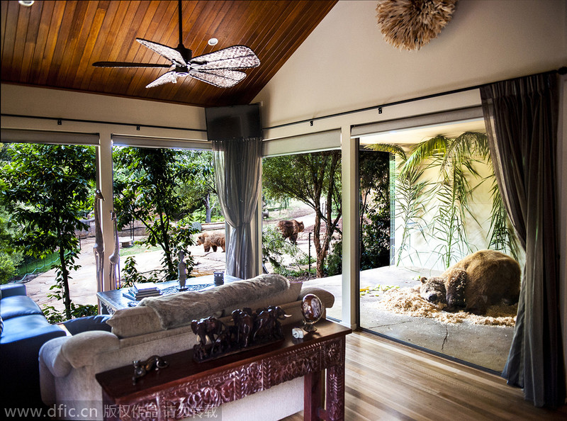 New zoo hotel lets you share a room with a beast