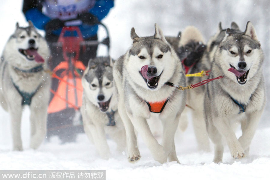 The world in photos: Jan 26-Feb 1