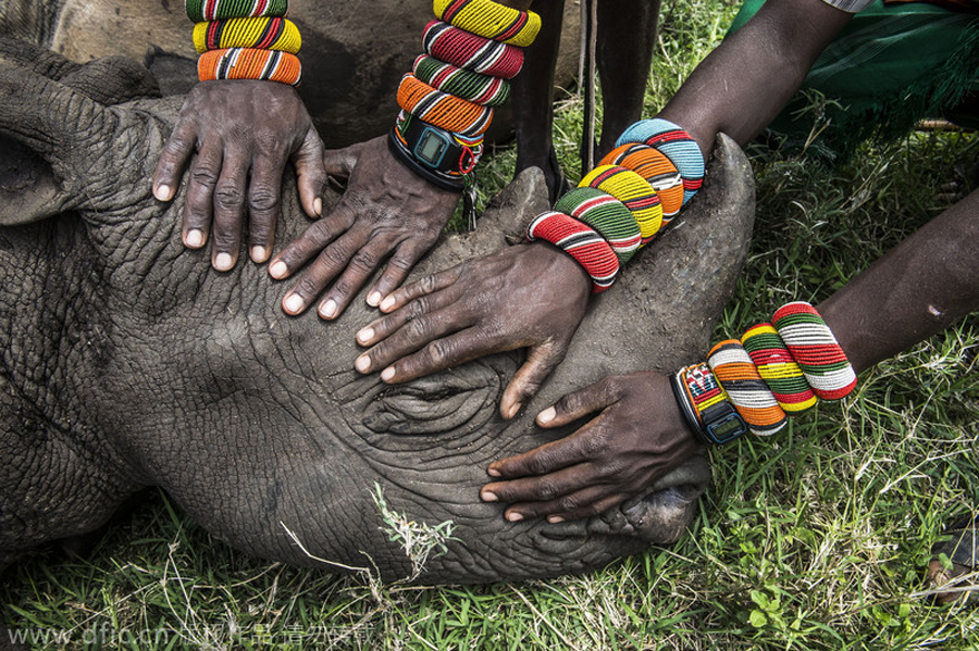 World Press Photo of the Year: 2015 winners