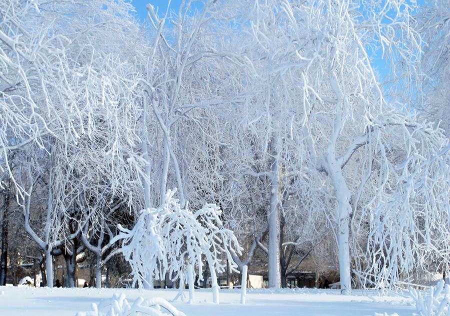 Niagara Falls: masterpiece of winter god 