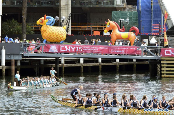 Dragon boat race to celebrate Chinese New Year in Sydney