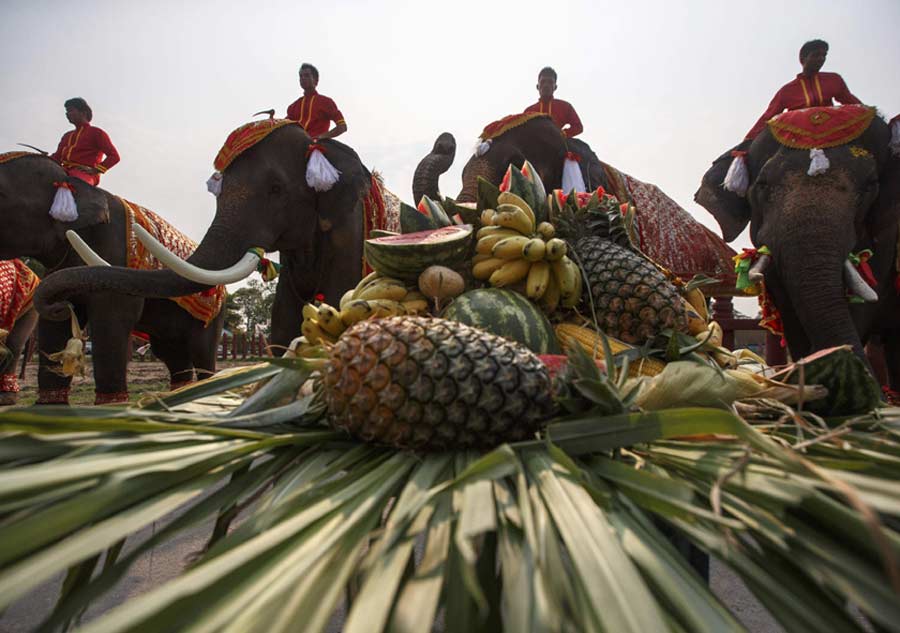 The world in photos: March 9-15