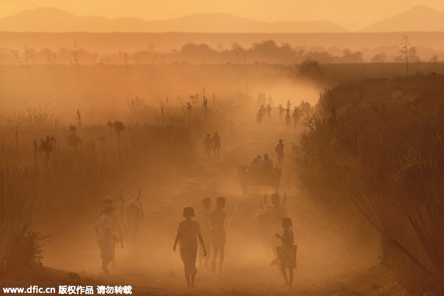 Sandstorms envelope global cities