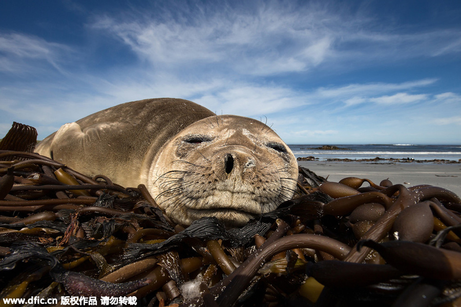 The world in photos: April 13-19