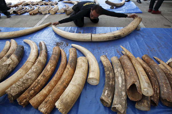 Thailand makes second big ivory bust in two weeks