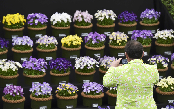 Chelsea Flower Show opens in London