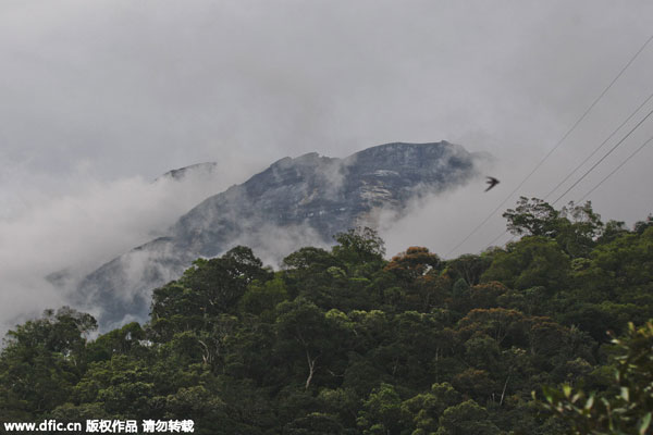 Eleven hikers killed in Malaysia quake, eight still missing