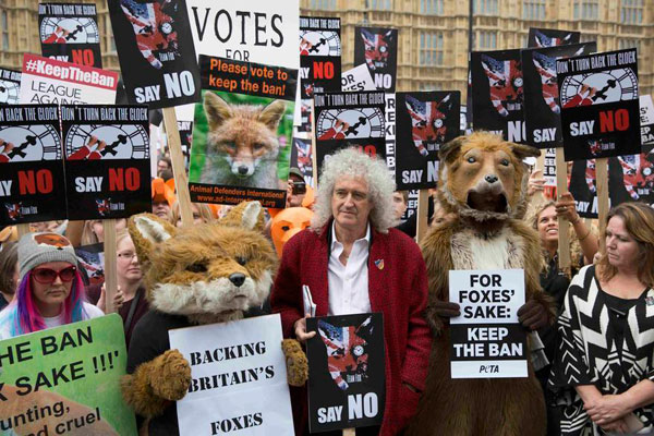 Move to ease fox hunting ban in UK stirs political storm