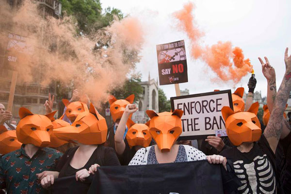 Move to ease fox hunting ban in UK stirs political storm