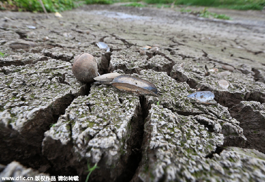 Thailand experiences rare drought