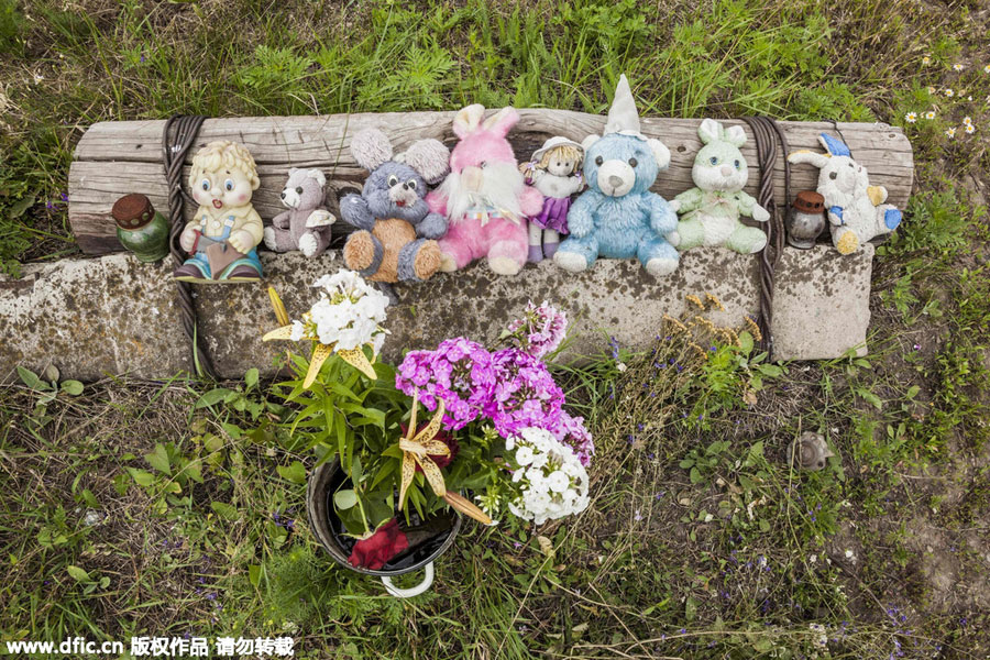 One year on, cause of MH17 crash remains unknown