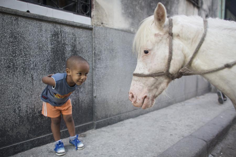 Reuters' most popular Instagram photos of 2015