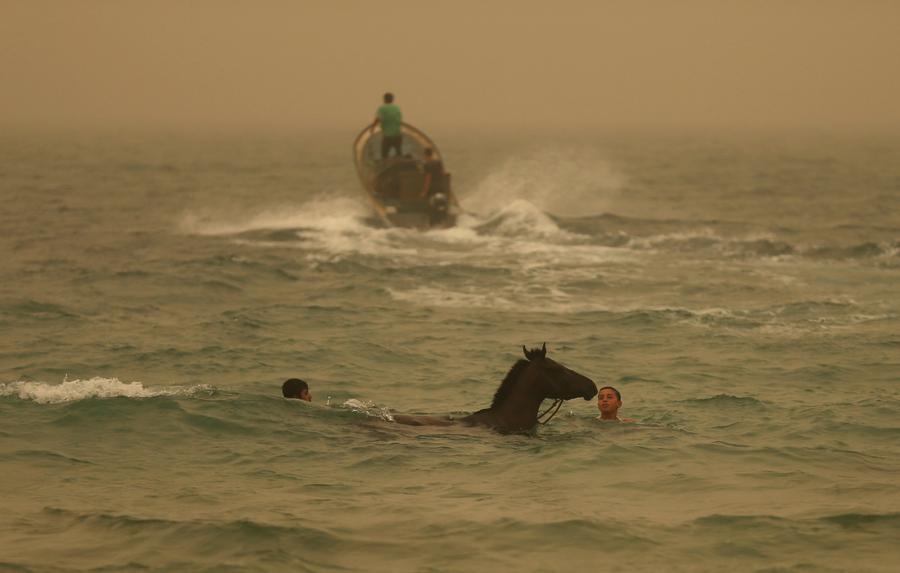 Deadly sandstorm engulfs Middle East