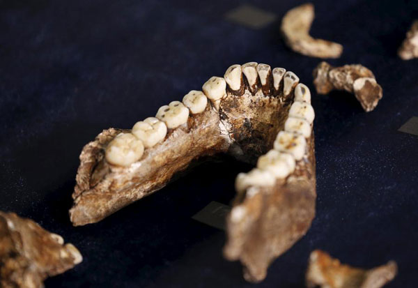Fossil first: ancient human relative may have buried its dead