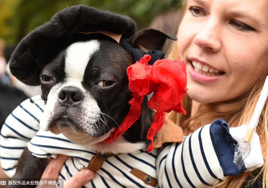 The world in photos: Oct 19 - 25