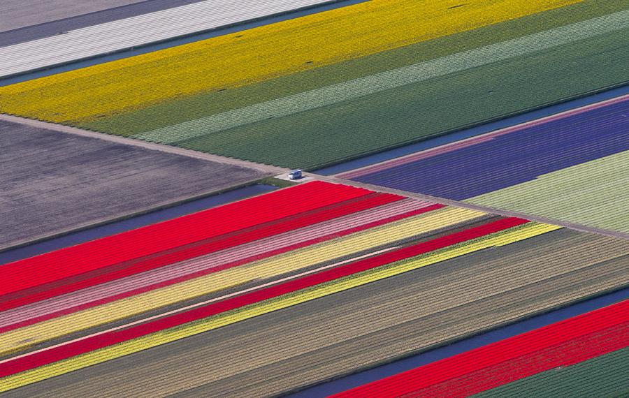 Reuters images of the year - the natural world