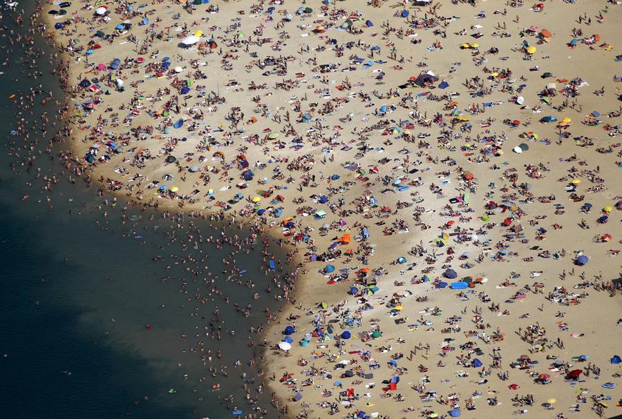 Reuters images of the year - the natural world