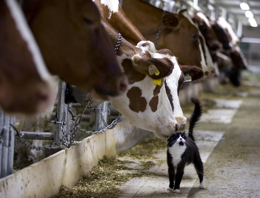 Reuters images of the year - Most popular on instagram