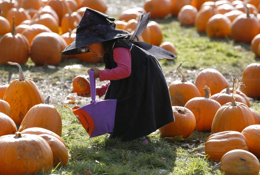 Reuters images of the year - Most popular on instagram