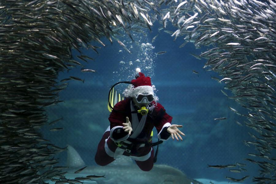 Santa Claus goes diving